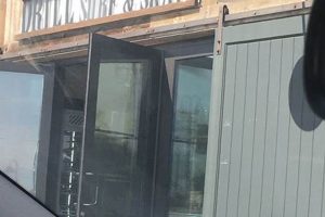 Malibu Surf & Skate Drills: Learn to Shred Like a Pro! | How to Skateboard: A Beginner's Guide to Your First Board & Tricks