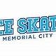 Ice Skating: Ice Skate Memorial Tribute &amp; Legacy | How to Skateboard: A Beginner's Guide to Your First Board & Tricks