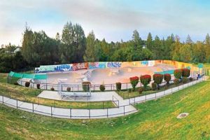 Explore Auburn Skate Park: Fun for All Skill Levels! | How to Skateboard: A Beginner's Guide to Your First Board & Tricks