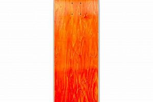 Customize Your Ride: Skate Blank Decks for Every Skater! | How to Skateboard: A Beginner's Guide to Your First Board & Tricks