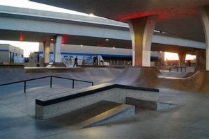 Best Boise Skate Parks: Find Your Grind Spot! | How to Skateboard: A Beginner's Guide to Your First Board & Tricks