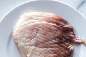 Skater's Guide: How Do You Cook Skate? (Easy!) | How to Skateboard: A Beginner's Guide to Your First Board & Tricks