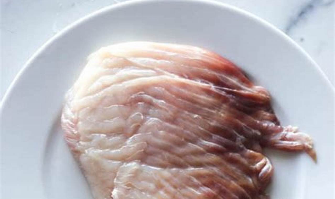 Skater's Guide: How Do You Cook Skate? (Easy!) | How to Skateboard: A Beginner's Guide to Your First Board & Tricks