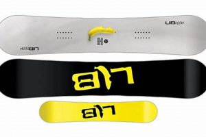 Lib Tech Skate Banana: The Go-To All-Mountain Ride | How to Skateboard: A Beginner's Guide to Your First Board & Tricks