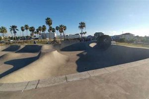 Galveston Skate Park: TX Action & Fun! | How to Skateboard: A Beginner's Guide to Your First Board & Tricks
