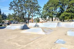 Find a Kiwanis Skate Park Near You: Skate Parks Guide | How to Skateboard: A Beginner's Guide to Your First Board & Tricks