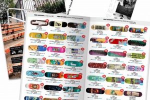 Your Guide to Skate Catalogs: Gear Up, Skaters! | How to Skateboard: A Beginner's Guide to Your First Board & Tricks