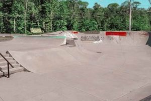 Best Skate Parks in Providence RI: Your Local Guide | How to Skateboard: A Beginner's Guide to Your First Board & Tricks