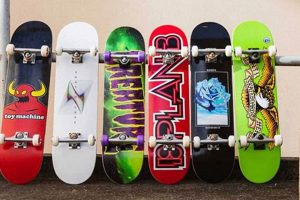 Best Skate Board Berkeley Spots: A Skater's Guide | How to Skateboard: A Beginner's Guide to Your First Board & Tricks