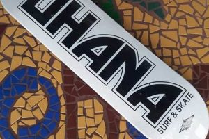 Your Guide to Ohana Surf &amp; Skate: Gear &amp; More! | How to Skateboard: A Beginner's Guide to Your First Board & Tricks