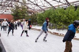 Enjoy Public Skate: Times, Tips & Near You | How to Skateboard: A Beginner's Guide to Your First Board & Tricks