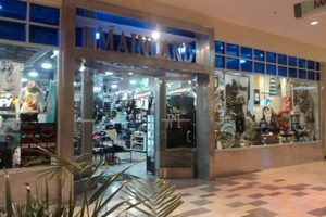 Find Your Ride: San Jose Skate Shop Guide [2024] | How to Skateboard: A Beginner's Guide to Your First Board & Tricks