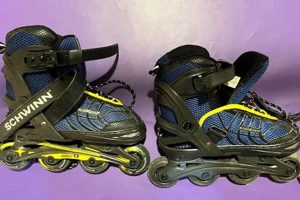 Best Schwinn Skates: Guide & More for Skaters | How to Skateboard: A Beginner's Guide to Your First Board & Tricks