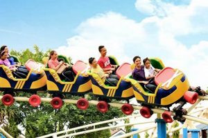 Roll into Thrills: Roller Skater Roller Coaster Fun! How to Skateboard: A Beginner's Guide to Your First Board & Tricks Roll into Thrills: Roller Skater Roller Coaster Fun! | How to Skateboard: A Beginner's Guide to Your First Board & Tricks