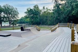 Visit Collins Skate Park: Fun For Everyone! | How to Skateboard: A Beginner's Guide to Your First Board & Tricks