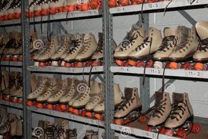 Find Great Deals on Roller Skates Rental Near You! | How to Skateboard: A Beginner's Guide to Your First Board & Tricks
