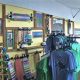 Find Your Hawaii Skate Shop: Boards & Gear! | How to Skateboard: A Beginner's Guide to Your First Board & Tricks