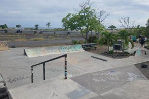 Explore Hawaii Skate Park: Your Island Ride Guide! | How to Skateboard: A Beginner's Guide to Your First Board & Tricks