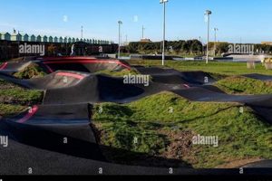 Your Guide to Brighton Skate Park UK Fun! | How to Skateboard: A Beginner's Guide to Your First Board & Tricks