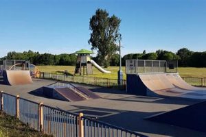 Find Free Skate Parks Close to Me: Your Local Guide! | How to Skateboard: A Beginner's Guide to Your First Board & Tricks