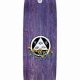 Best Welcome Skate Decks: Find Your Perfect Ride! | How to Skateboard: A Beginner's Guide to Your First Board & Tricks