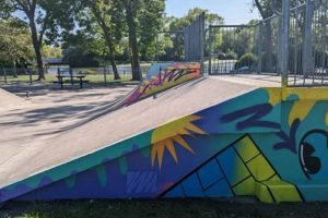 Discover A Town Skate Park Near You: Fun & Safe! | How to Skateboard: A Beginner's Guide to Your First Board & Tricks