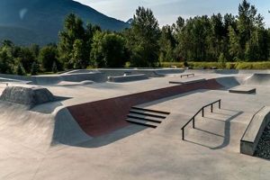 Essential Skate Park Features: Designs & Elements | How to Skateboard: A Beginner's Guide to Your First Board & Tricks