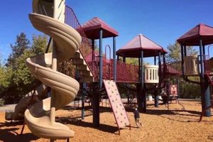 Your Guide to Skate Park Pleasanton CA Fun! How to Skateboard: A Beginner's Guide to Your First Board & Tricks Your Guide to Skate Park Pleasanton CA Fun! | How to Skateboard: A Beginner's Guide to Your First Board & Tricks