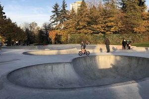Best Skate Park in Queens, NY: Find Your Spot! | How to Skateboard: A Beginner's Guide to Your First Board & Tricks