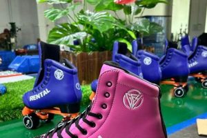 Wholesale Roller Skates in Bulk: Deals & Savings! | How to Skateboard: A Beginner's Guide to Your First Board & Tricks