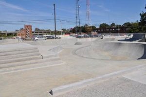 Best Skate Park Memphis Guide: Locations & More! | How to Skateboard: A Beginner's Guide to Your First Board & Tricks