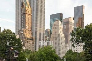 NYC's Central Park Skate Circle: Roll Into Fun! | How to Skateboard: A Beginner's Guide to Your First Board & Tricks