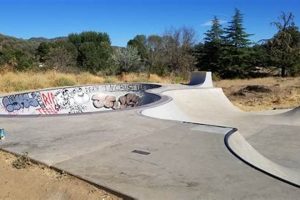 Your Guide to Oregon Skate Parks: Find the Best Spots! | How to Skateboard: A Beginner's Guide to Your First Board & Tricks