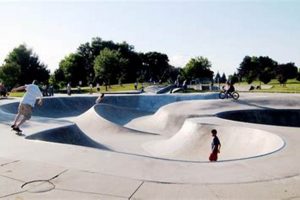 Your Guide to Roberts Skate Park: Hours, Safety & More! | How to Skateboard: A Beginner's Guide to Your First Board & Tricks