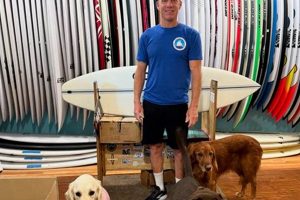 Your 561 Skate Shop Stuart FL Guide: Gear & More! | How to Skateboard: A Beginner's Guide to Your First Board & Tricks