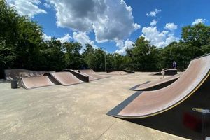 Find Your Ride: Skate Park Georgia Spots & Info | How to Skateboard: A Beginner's Guide to Your First Board & Tricks