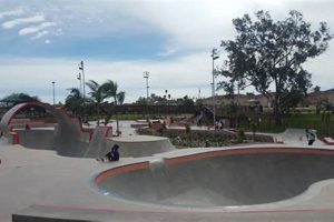 Best Skate Parks in San Diego, CA: Your Local Guide | How to Skateboard: A Beginner's Guide to Your First Board & Tricks