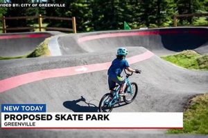 Greenville SC Skate Parks: Your Ultimate Guide | How to Skateboard: A Beginner's Guide to Your First Board & Tricks