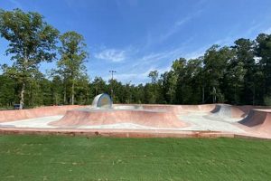 Best Skate Parks Near Williamsburg VA: Ride On! | How to Skateboard: A Beginner's Guide to Your First Board & Tricks