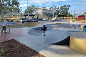 Explore: Central Park Skate Park Guide & More! | How to Skateboard: A Beginner's Guide to Your First Board & Tricks