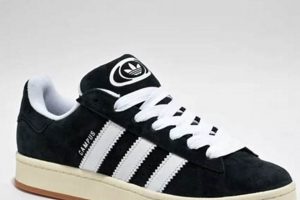 Best Chunky Skate Shoes Brands (Stylish & Durable) How to Skateboard: A Beginner's Guide to Your First Board & Tricks Best Chunky Skate Shoes Brands (Stylish & Durable) | How to Skateboard: A Beginner's Guide to Your First Board & Tricks