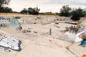 Find a Secret Skate Park: Hidden Gems & More | How to Skateboard: A Beginner's Guide to Your First Board & Tricks