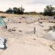Find a Secret Skate Park: Hidden Gems & More | How to Skateboard: A Beginner's Guide to Your First Board & Tricks