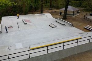 Best Skate Parks in Hastings: Your Local Guide | How to Skateboard: A Beginner's Guide to Your First Board & Tricks