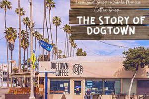 Your Guide to Santa Monica Skate Shops + Gear! | How to Skateboard: A Beginner's Guide to Your First Board & Tricks