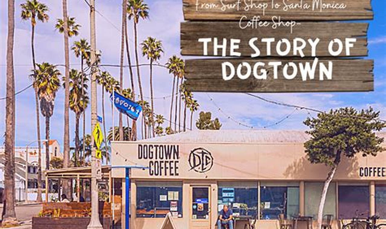 Your Guide to Santa Monica Skate Shops + Gear! | How to Skateboard: A Beginner's Guide to Your First Board & Tricks