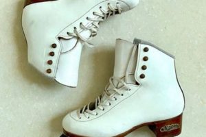 Best SP Teri Ice Skates: Performance & Style! | How to Skateboard: A Beginner's Guide to Your First Board & Tricks