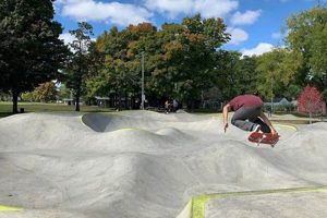 Your Guide to Ferndale Skate Park Fun! | How to Skateboard: A Beginner's Guide to Your First Board & Tricks