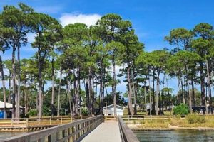 Your Guide to Skate Parks in Fort Walton Beach, FL | How to Skateboard: A Beginner's Guide to Your First Board & Tricks