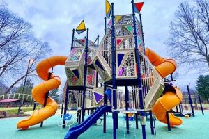 Frederick MD Skate Park: Your Guide to the Best Spot! How to Skateboard: A Beginner's Guide to Your First Board & Tricks Frederick MD Skate Park: Your Guide to the Best Spot! | How to Skateboard: A Beginner's Guide to Your First Board & Tricks